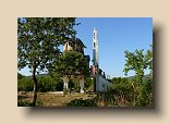P1100851 (Medium)